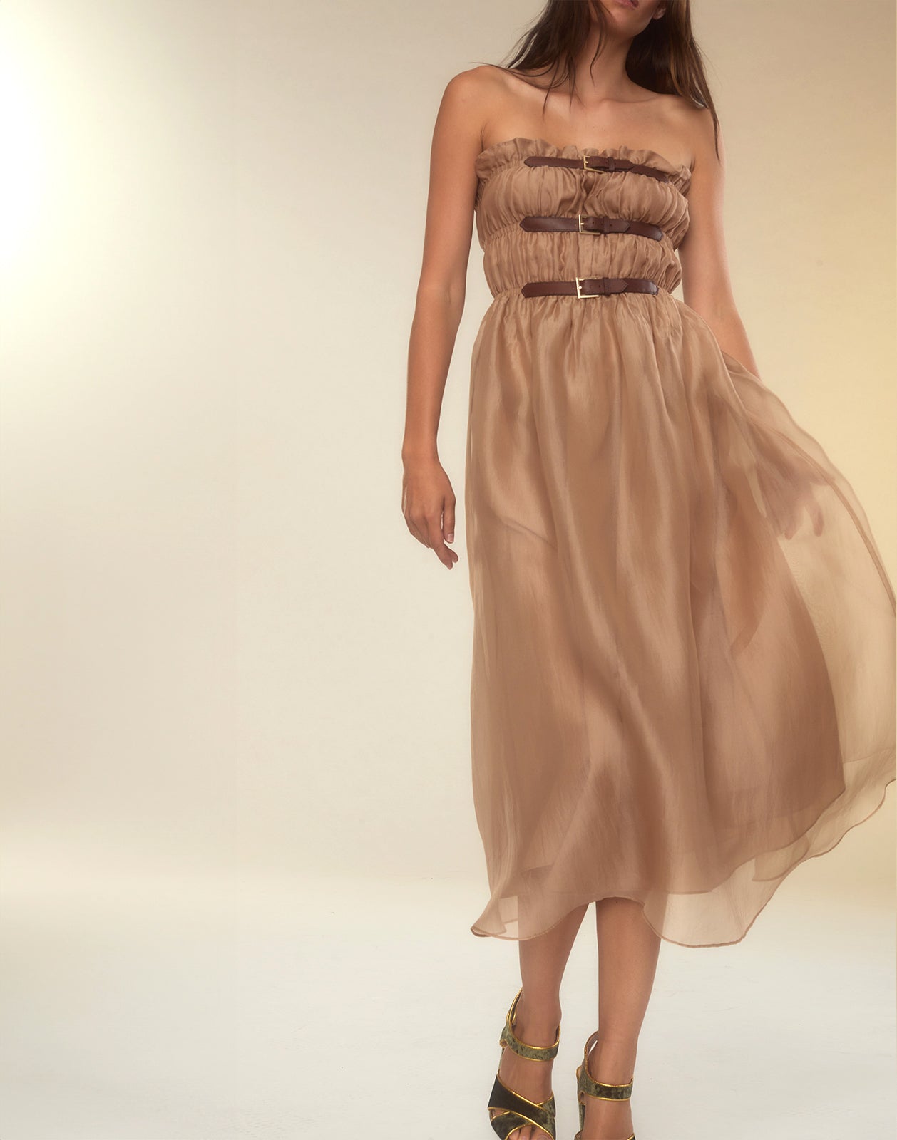 Cynthia Rowley Buckle Up Silk Organza Dress