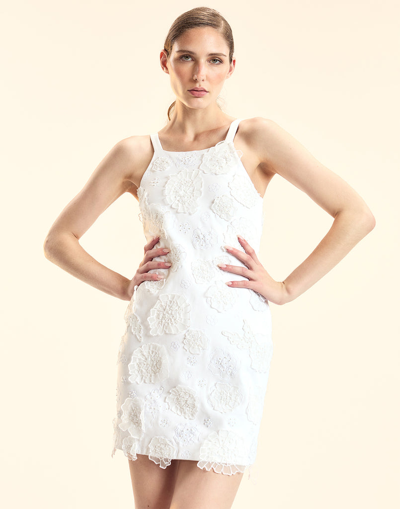 Embroidered Floral Applique Dress