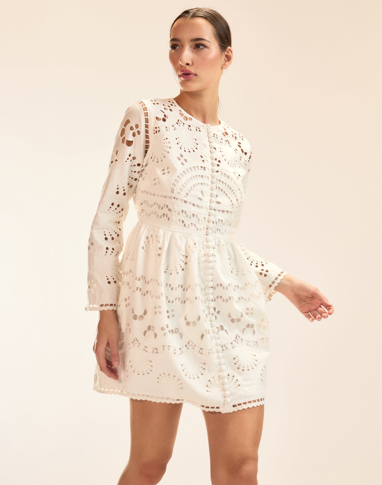Cynthia Rowley Eva Embroidered Mini Dress