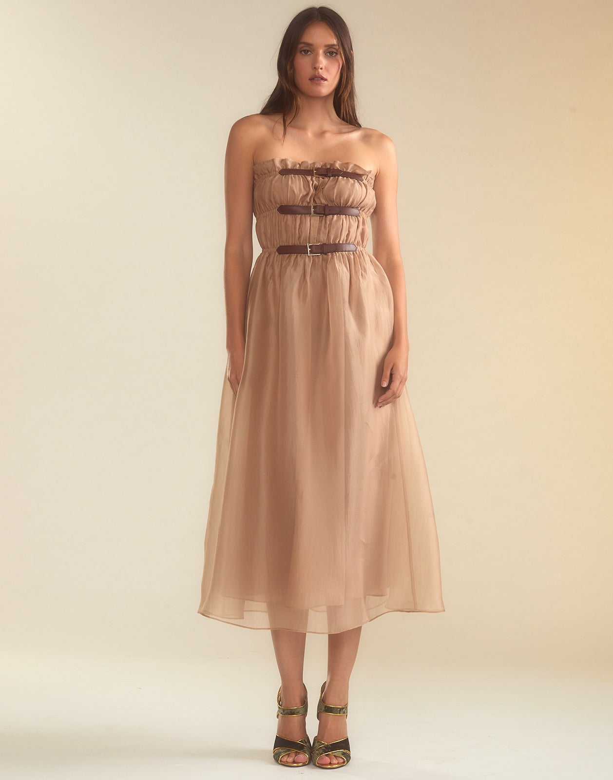 Cynthia Rowley Buckle Up Silk Organza Dress
