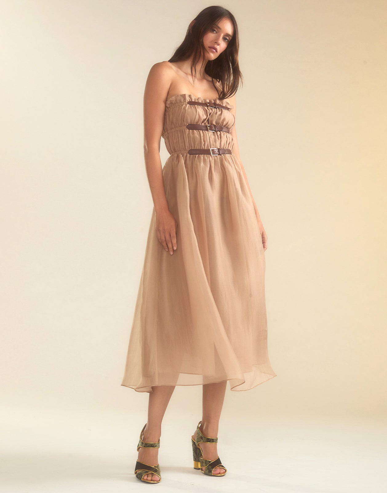 Cynthia Rowley Buckle Up Silk Organza Dress
