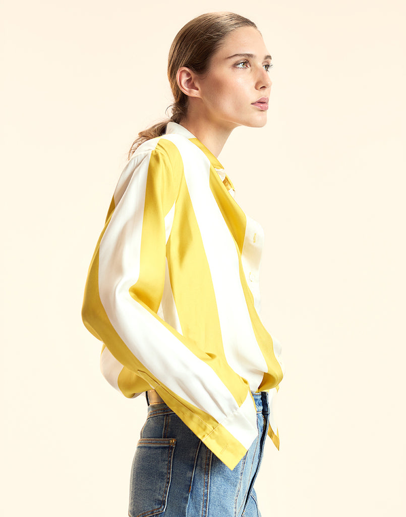 Collectible Stripe Silk Shirt