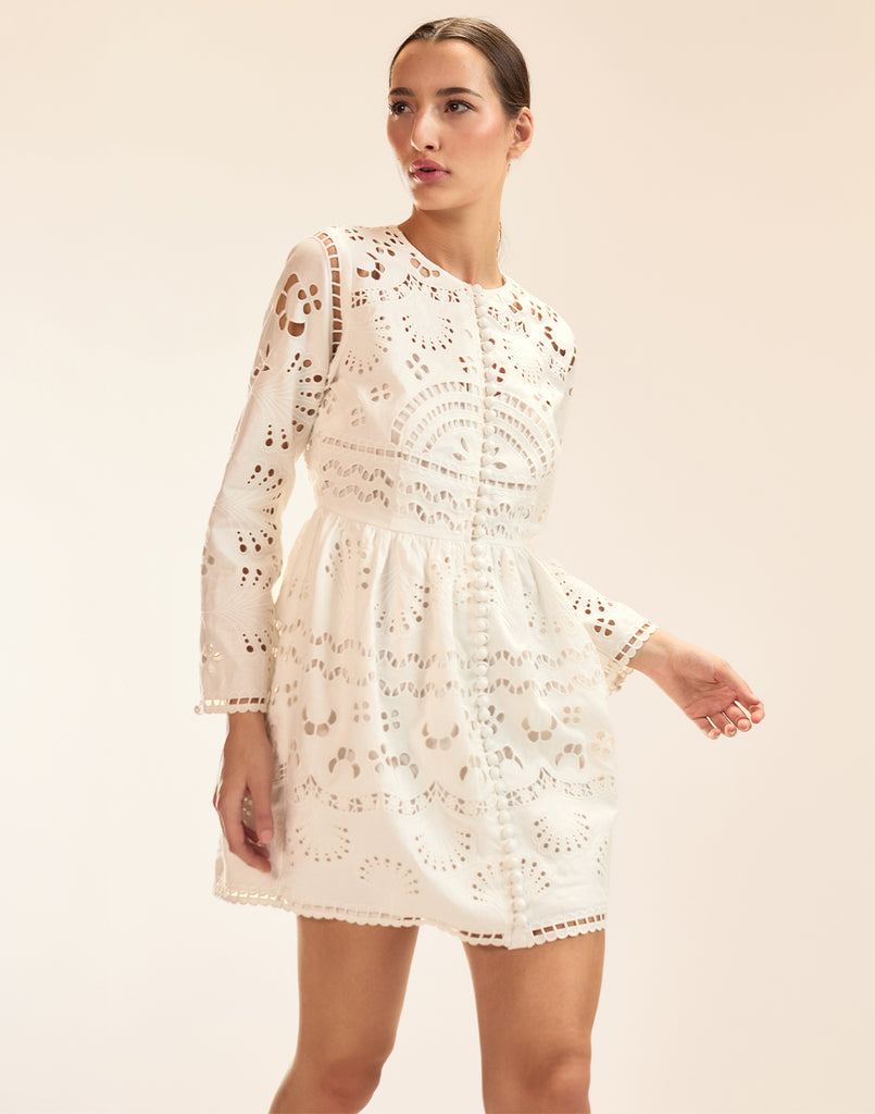 Eva Embroidered Mini Dress