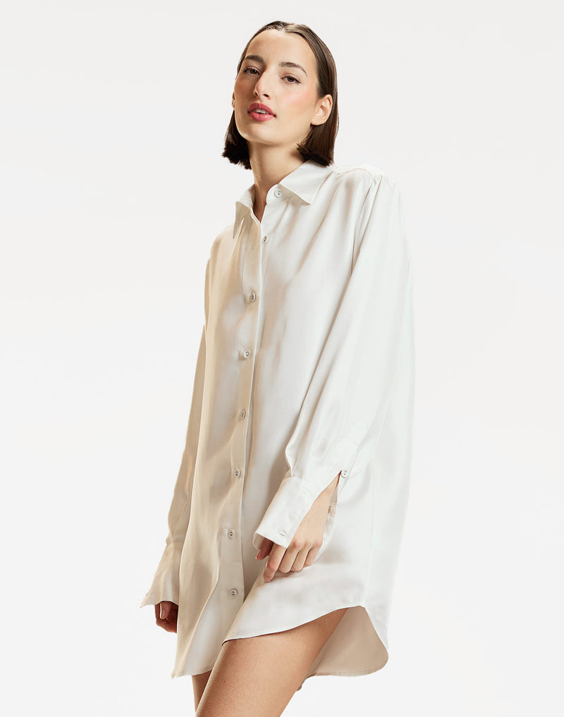 Collectible Silk Shirt Dress