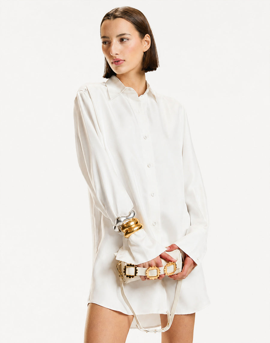 Collectible Silk Shirt Dress