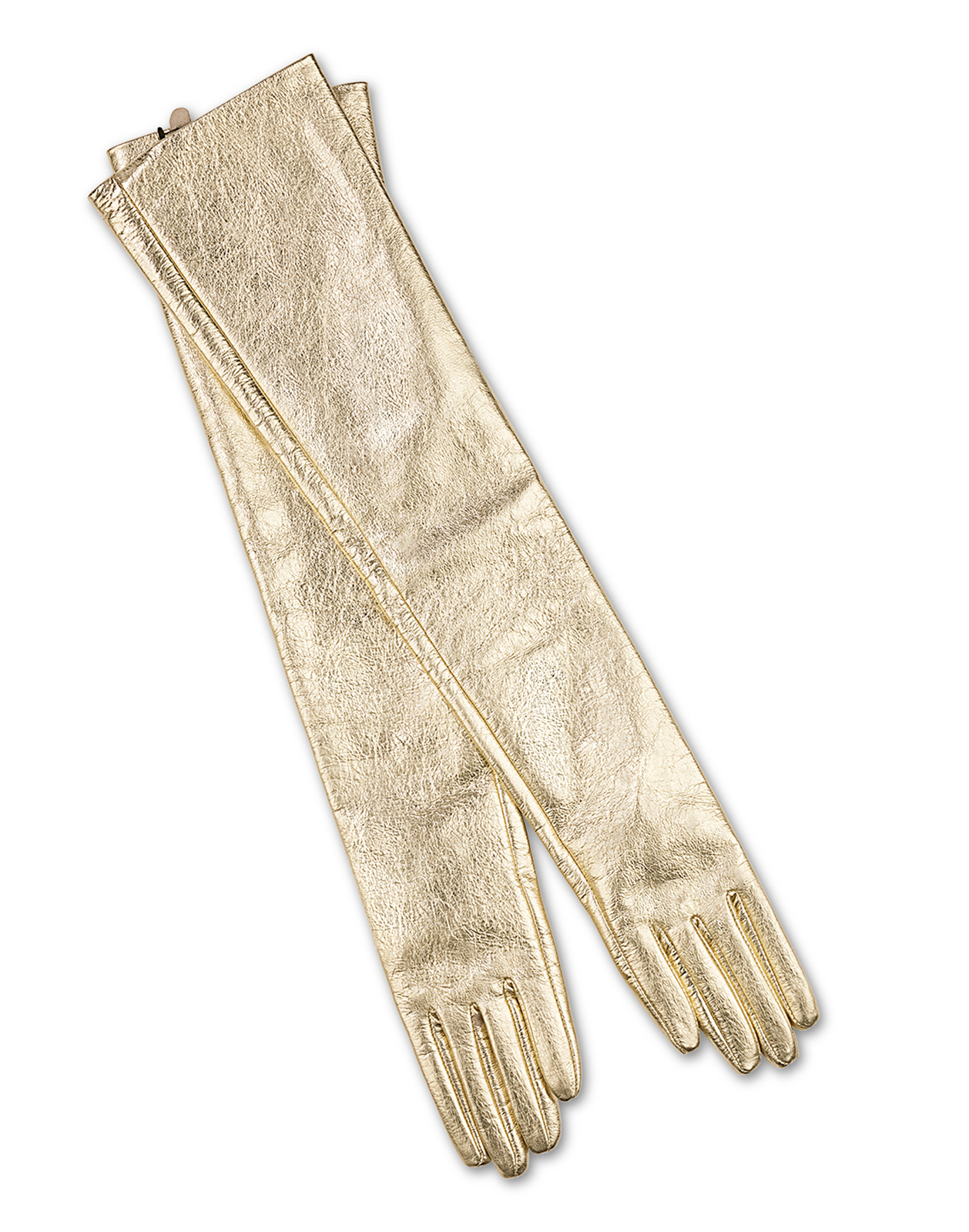 Bea Long Leather Gloves