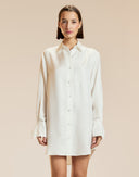 Collectible Silk Shirt Dress