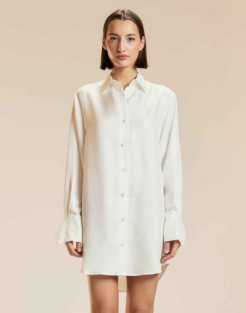 Collectible Silk Shirt Dress