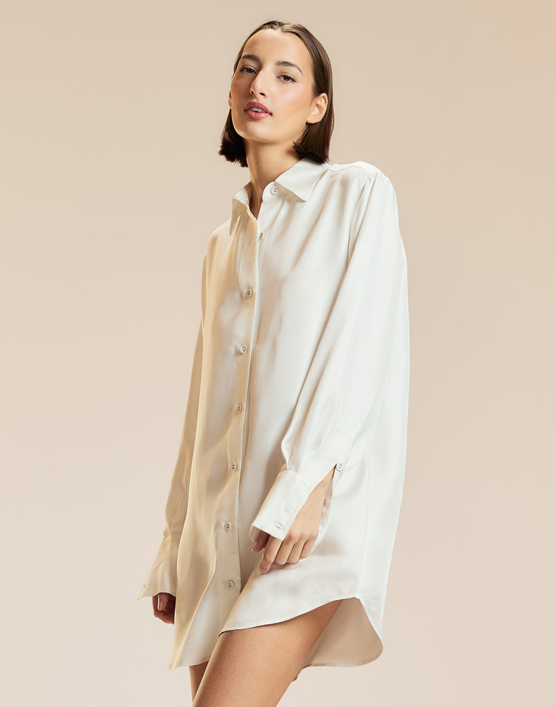 Collectible Silk Shirt Dress