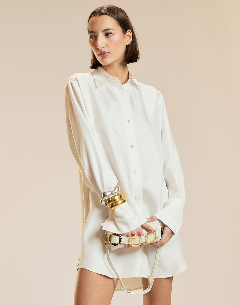 Collectible Silk Shirt Dress