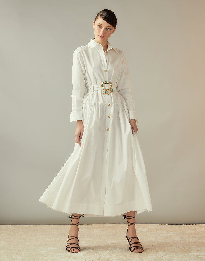 Perennial Shirt Dress