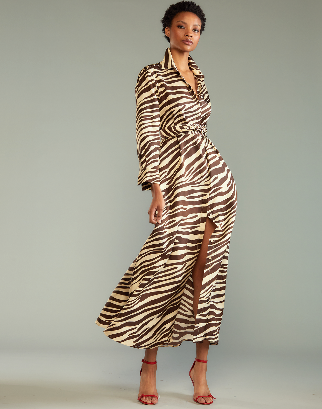 Zebra print shop midi shirt dress
